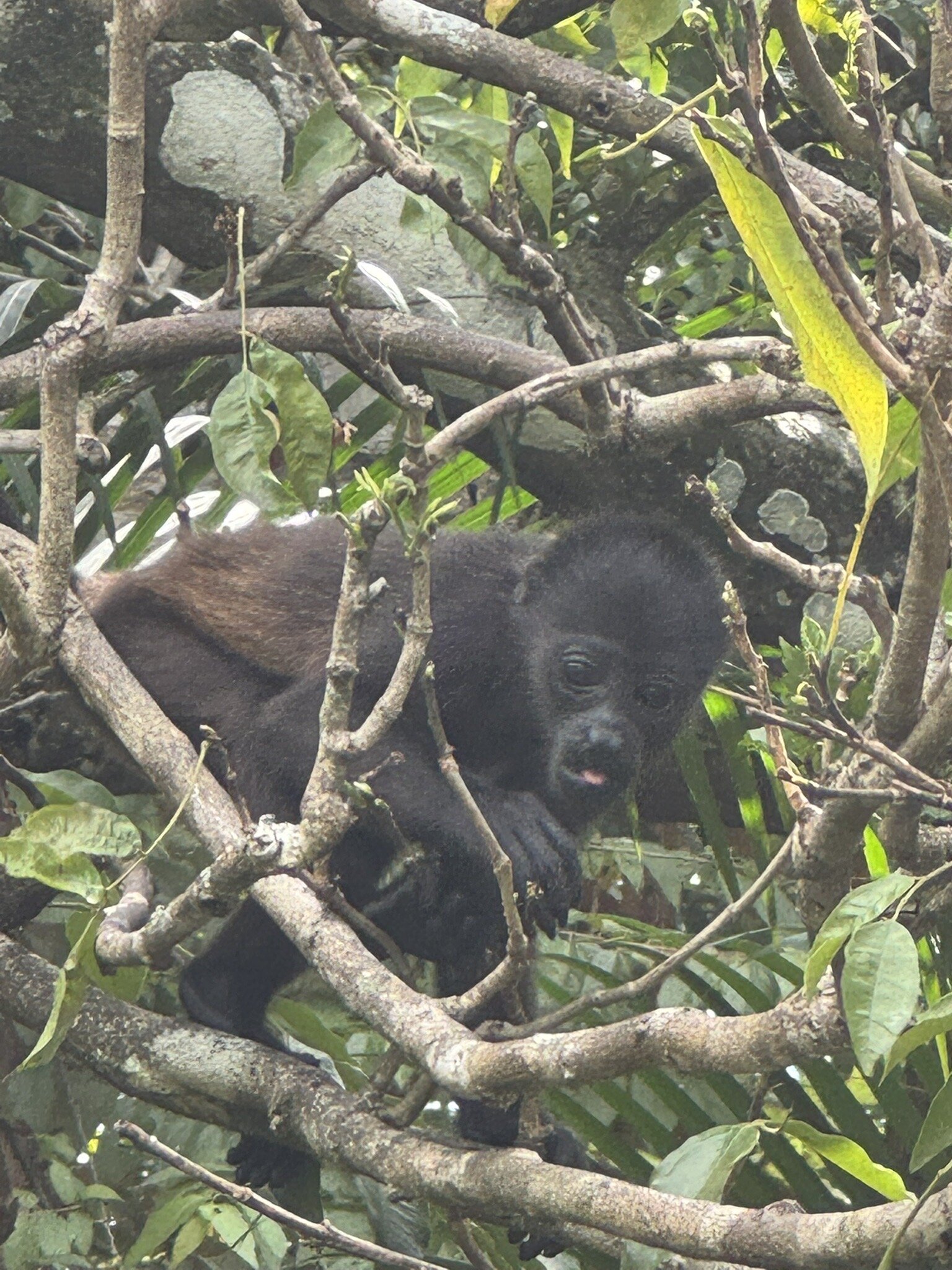萨马拉海滩别墅酒店-官方