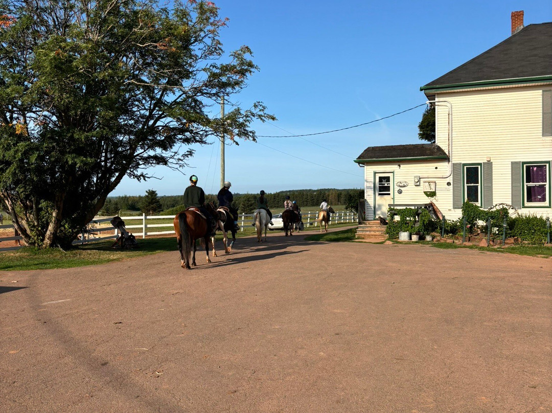 Venture Stables-Kensington必去景点