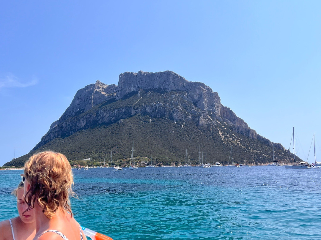 DST- Diving & Snorkelling Team Sardegna-Golfo Aranci必去景点