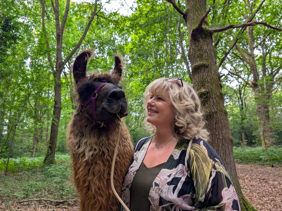 Briery Hill Llamas-Kilcot必去景点