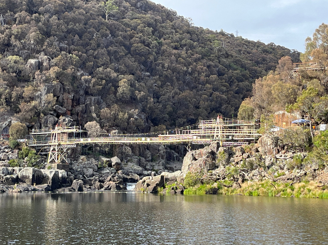 Alexandra Suspension Bridge-朗塞斯顿必去景点