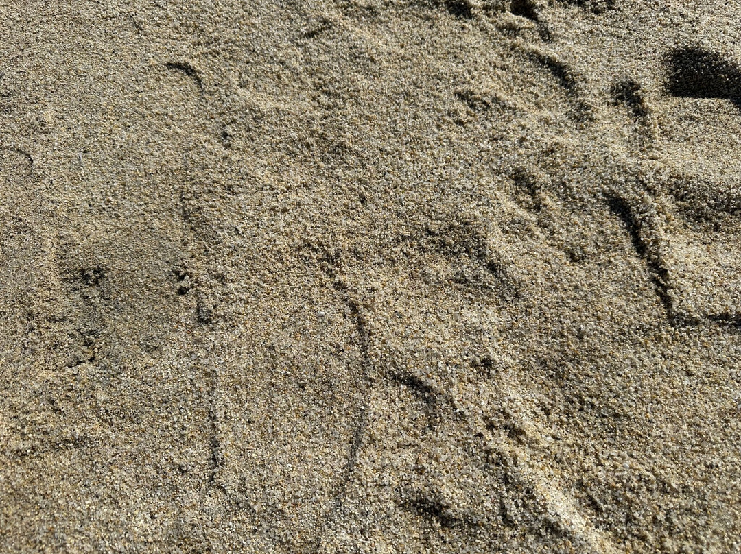 Spiaggia Del Riso-维拉西谬斯必去景点