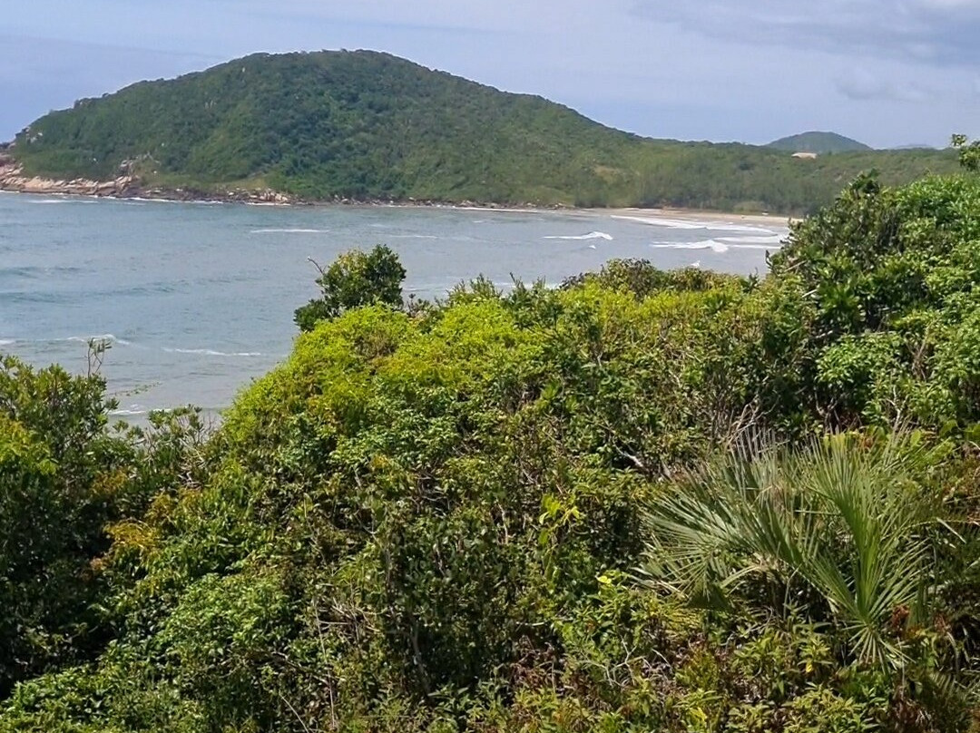Vermelha Beach-Praia do Rosa必去景点