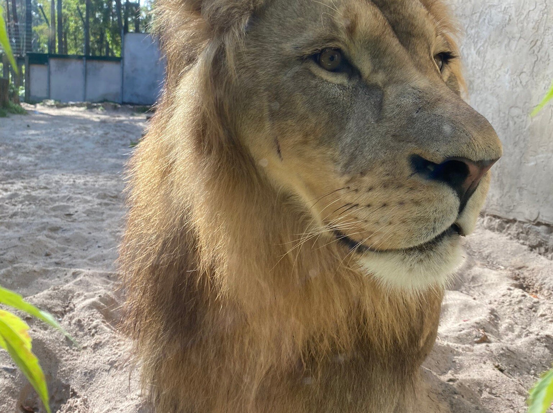 Riga Zoo-里加必去景点