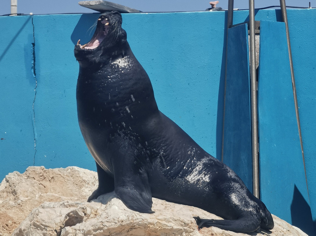Mediterraneo Marine Park-Bahar ic-Caghaq必去景点