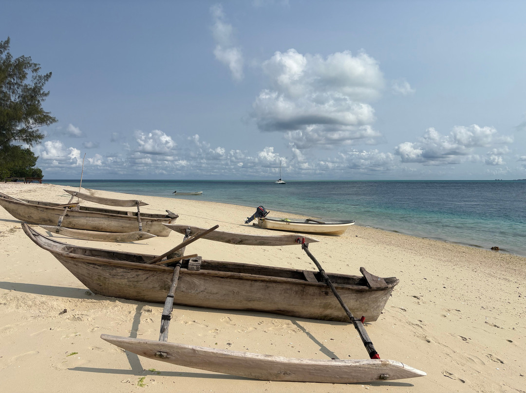 Zanzibar Yacht Charter-孥归必去景点