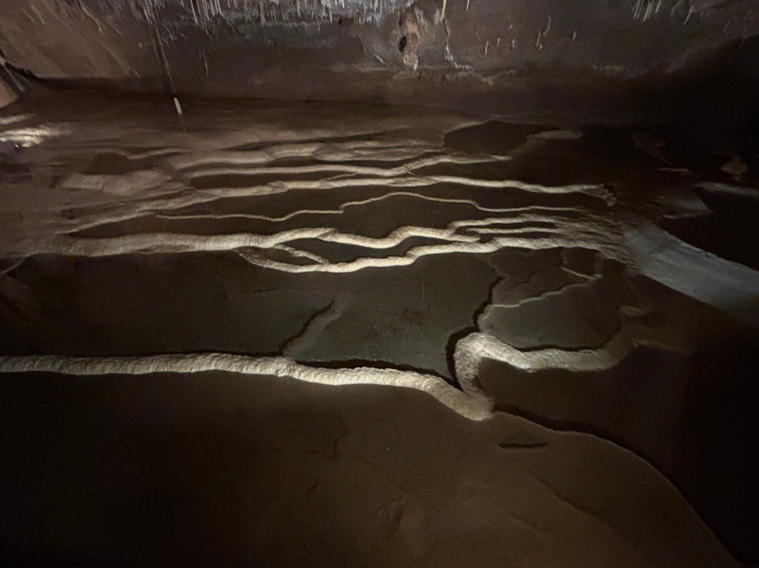 Grottes de Lacave-Lacave必去景点
