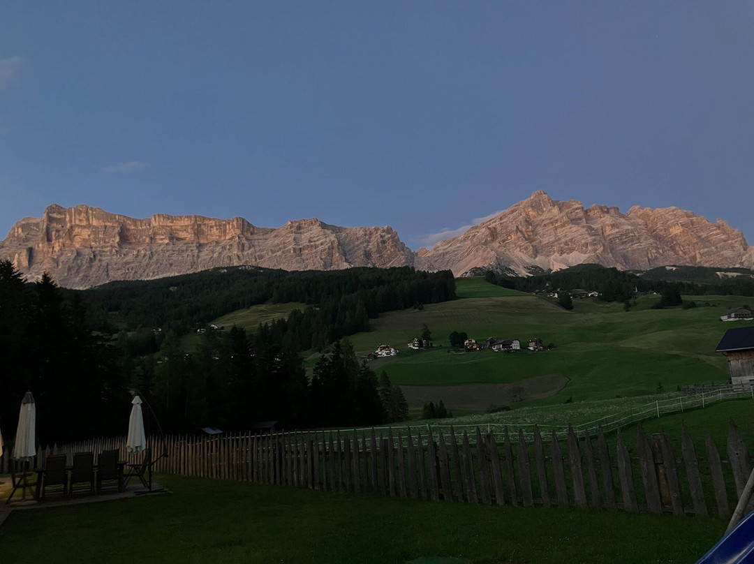 Hotel Des Alpes主图