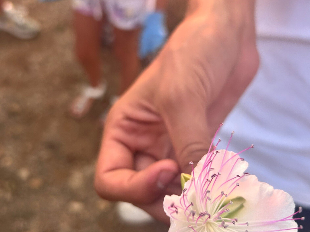 Icontadini-乌真托必去景点