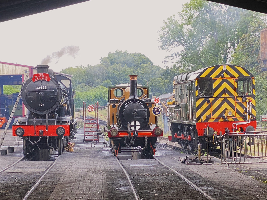 Bluebell Railway-阿克菲尔德必去景点