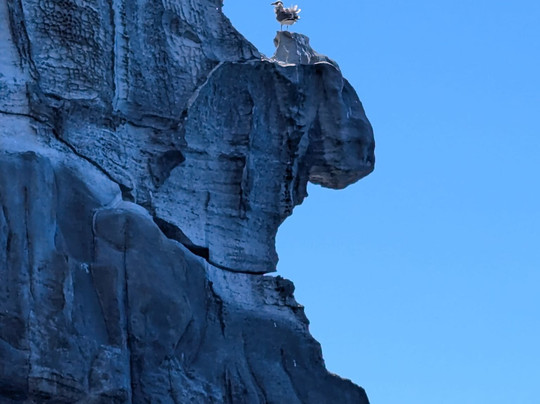 Seascape - Sharing Experiences-大里贝拉必去景点