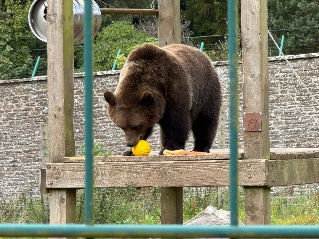 Camperdown Wildlife Centre-敦提必去景点