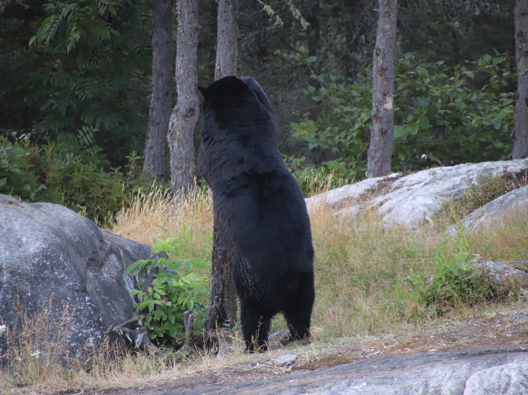 Croisières Essipit-Grandes-Bergeronnes必去景点
