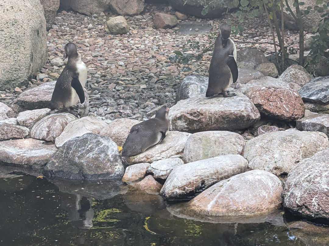 Weltvogelpark Walsrode-Walsrode必去景点