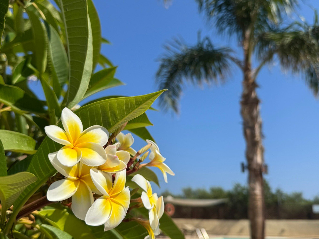 Hotel Kissamos主图