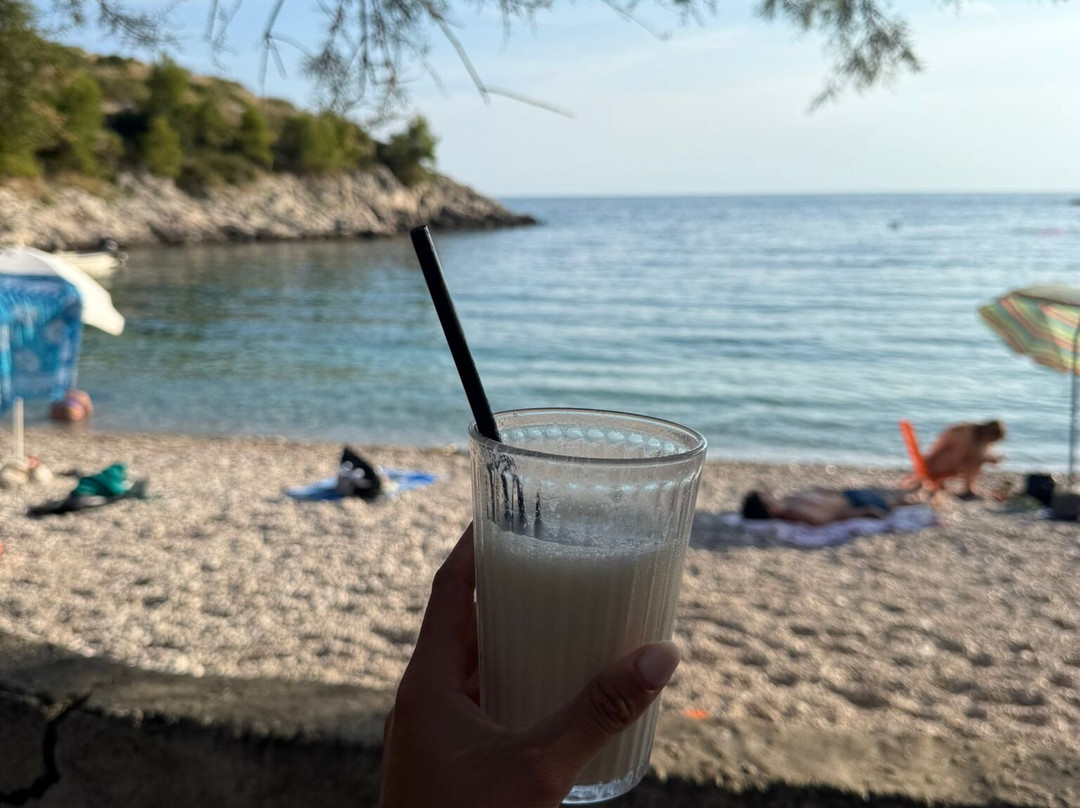 Dubovica Beach-Zarace必去景点