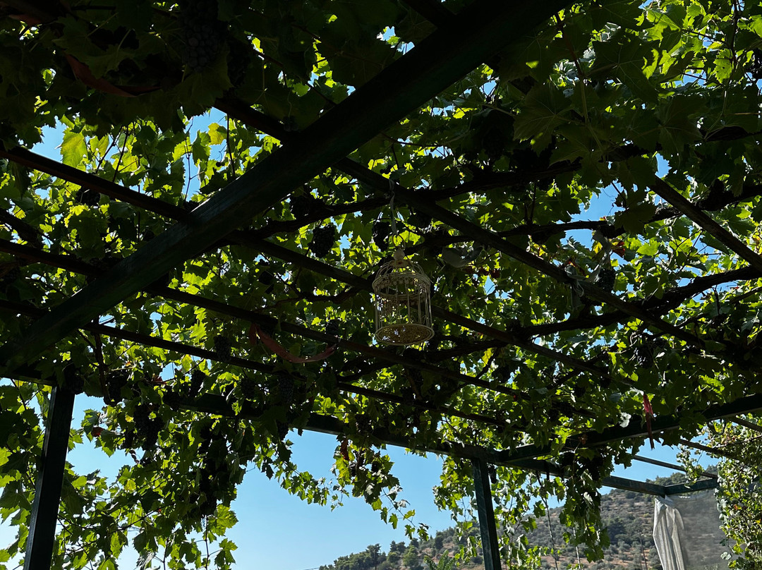 Ktima Palivou-Nemea必去景点