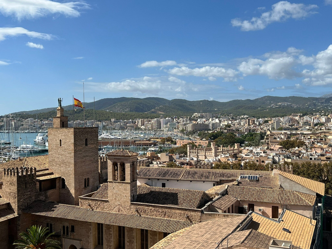 Terrazas de la Catedral de Palma-马洛卡帕尔马必去景点