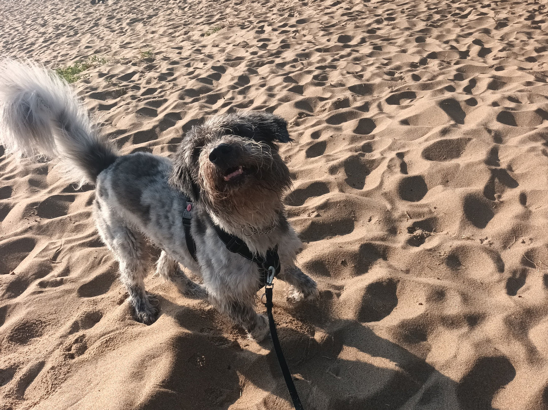 STF Baskemolla Vandrarhem B&B主图