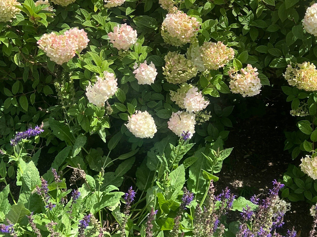 Geneva Lake Shore Path-日内瓦湖必去景点