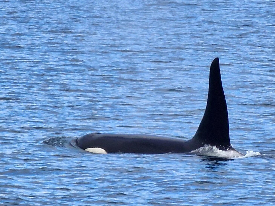 Rainbow Tours-荷马必去景点