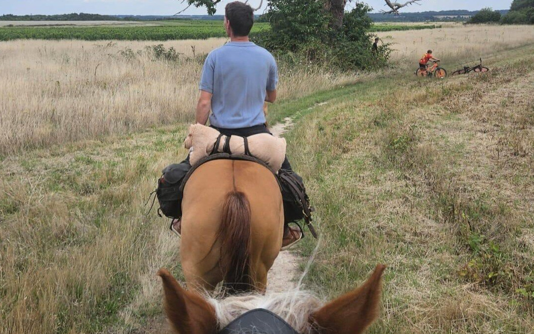 Horse Journey-Saint-Martin-le-Beau必去景点