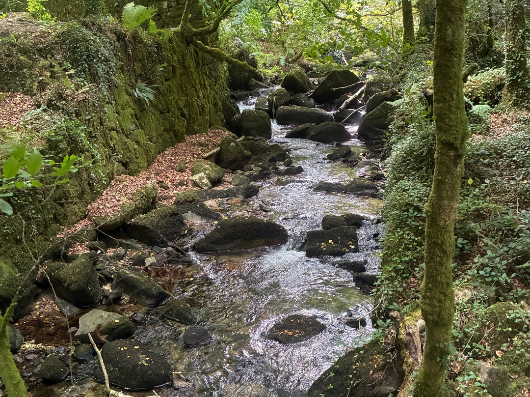 Kennall Vale-Ponsanooth必去景点