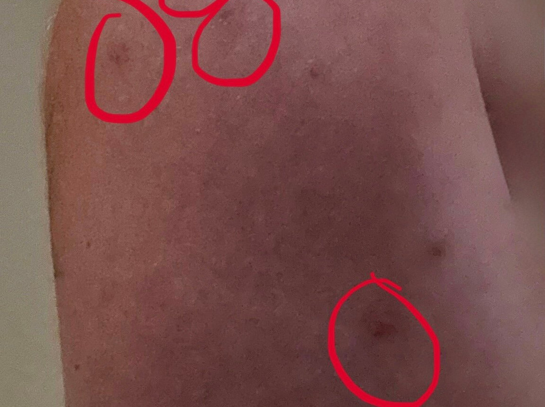 Quality Inn & Suites Bay Front主图