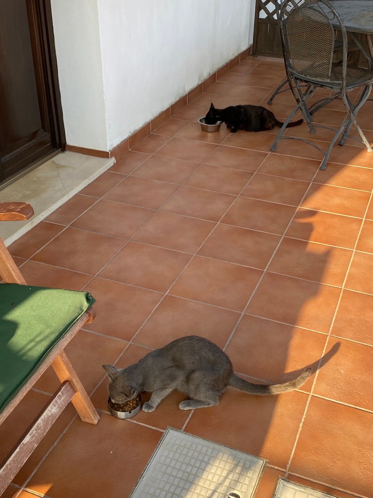 Agriturismo Serrafiori-官方