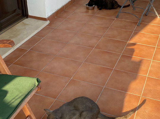 Agriturismo Serrafiori主图