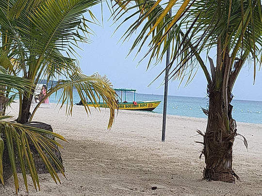 Mike's Glass Bottom Boat-内格里尔必去景点