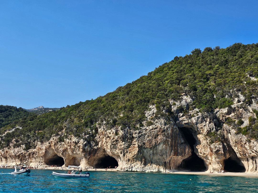 Nuovo Consorzio Trasporti Marittimi Cala Gonone-Cala Gonone必去景点