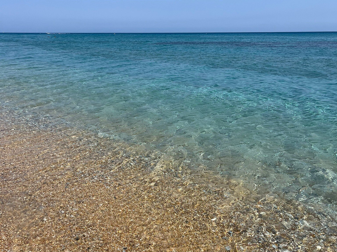 The Twelve Suites Collection主图