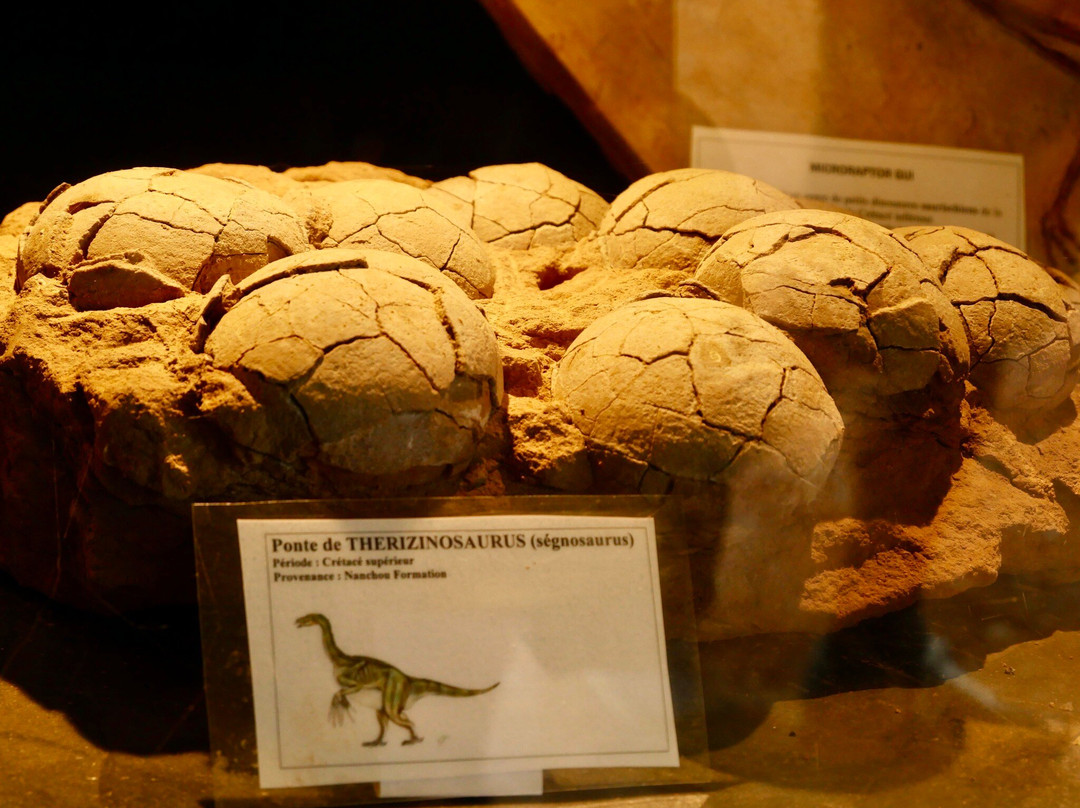 Musee - Parc des Dinosaures-Meze必去景点