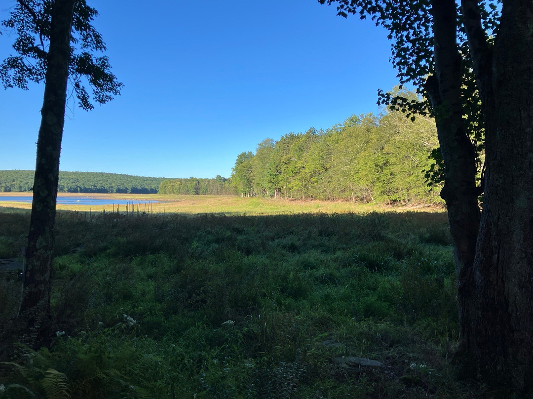 The Chatwal Lodge, The Catskills主图