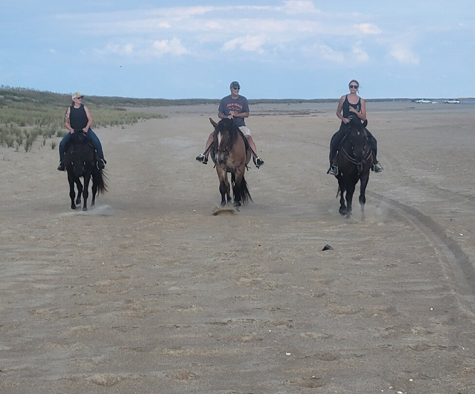 Equine Adventures-Frisco必去景点