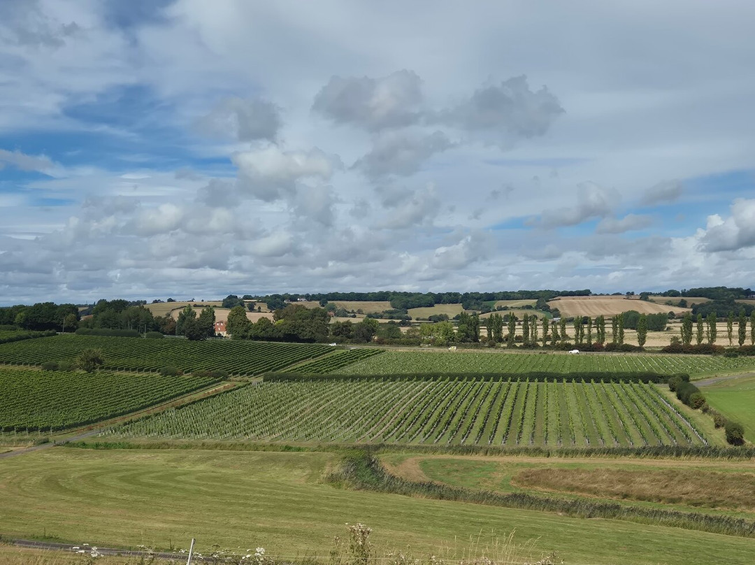 Charles Palmer Vineyards-Winchelsea必去景点