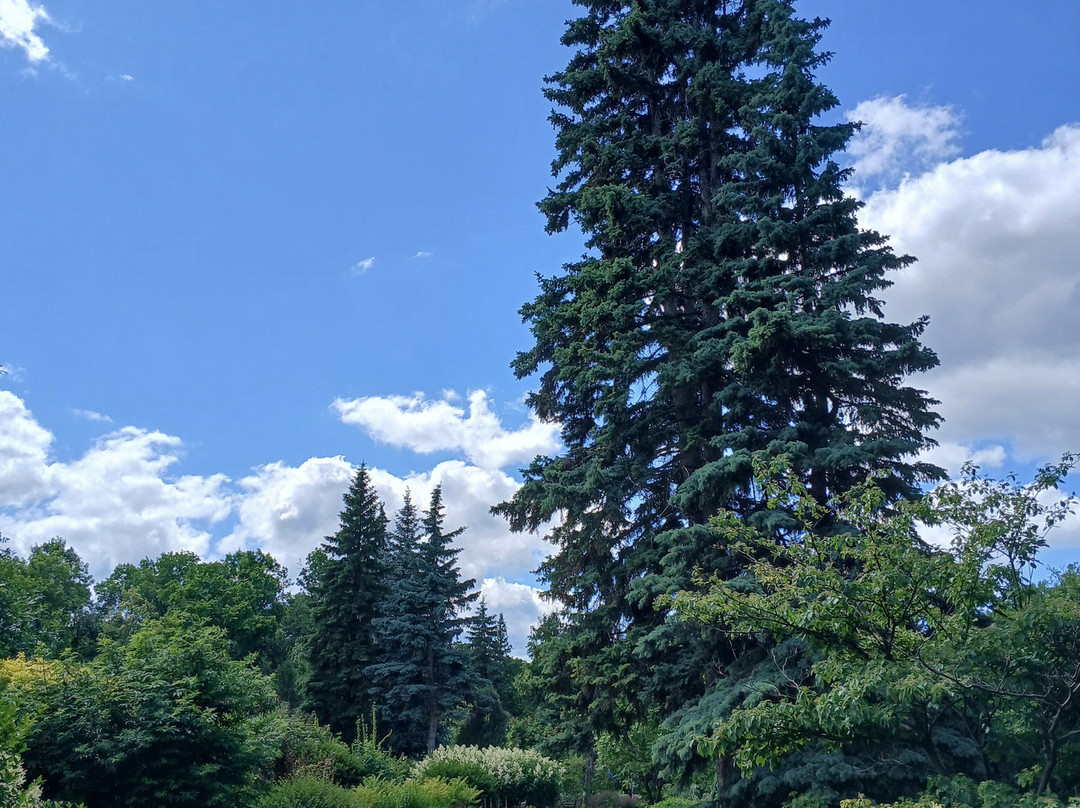 English Garden-温尼伯必去景点