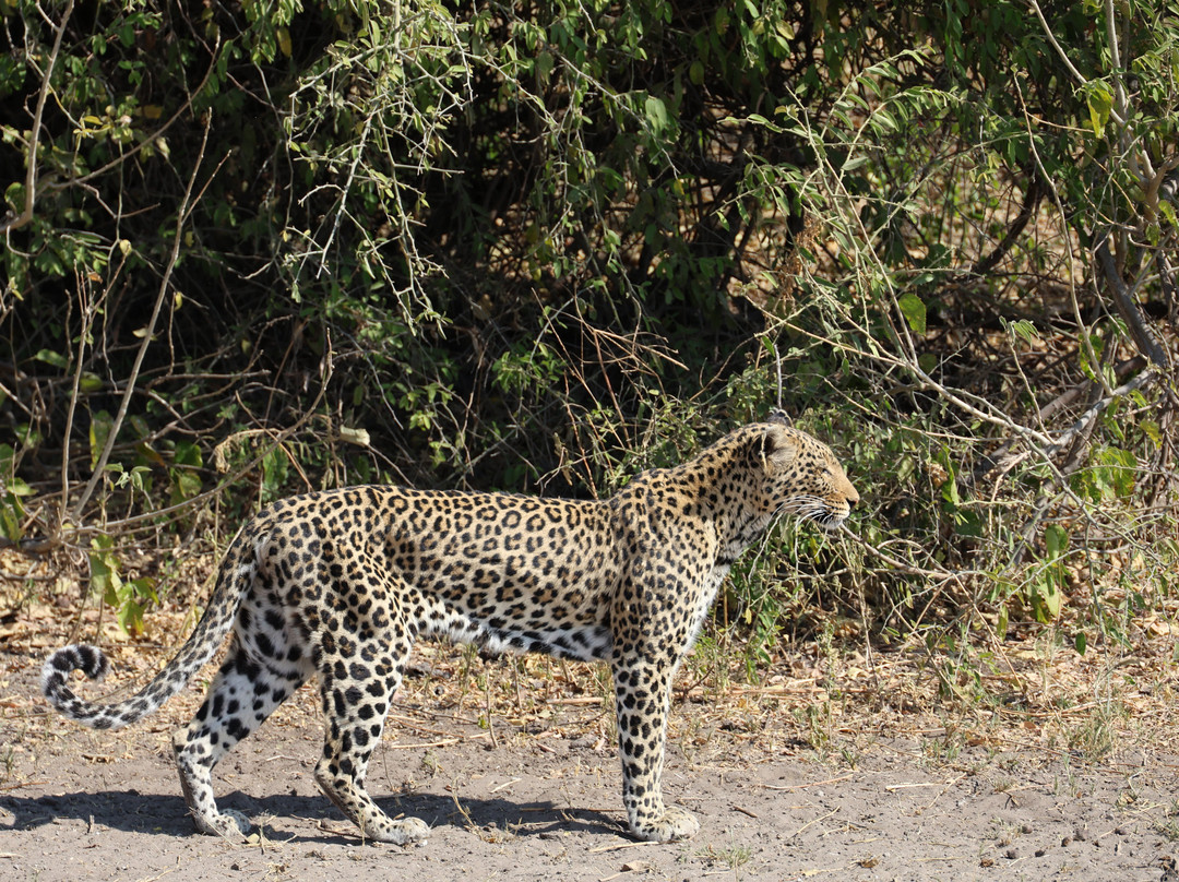 Kalahari Tours-Kazungula必去景点