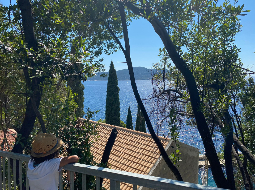 Trsteno Arboretum-特尔斯泰诺必去景点