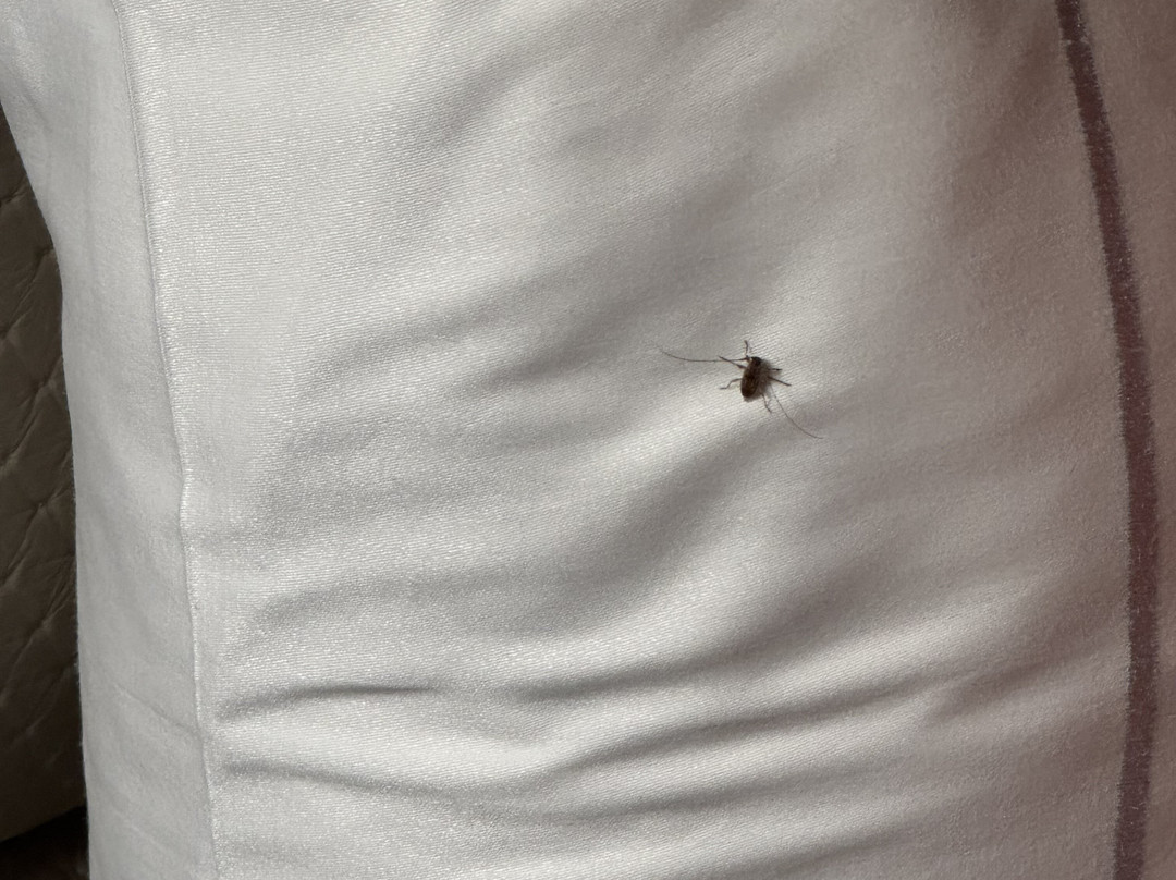 奥兰多市区希尔顿双树酒店主图