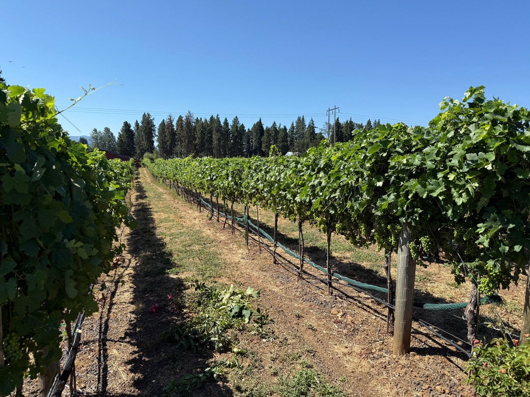 Marchesi Vineyards-胡德里弗必去景点