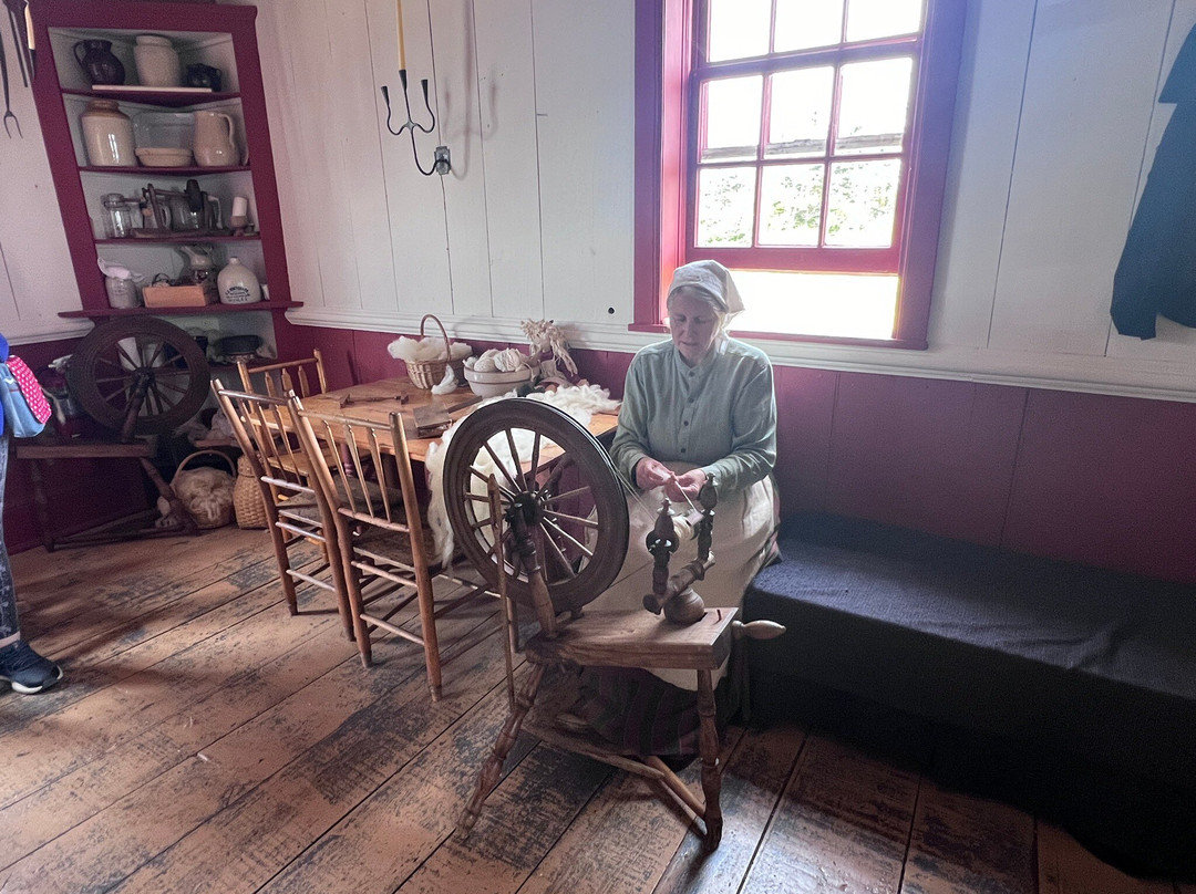 Blackwood Tours-新沃特福德必去景点