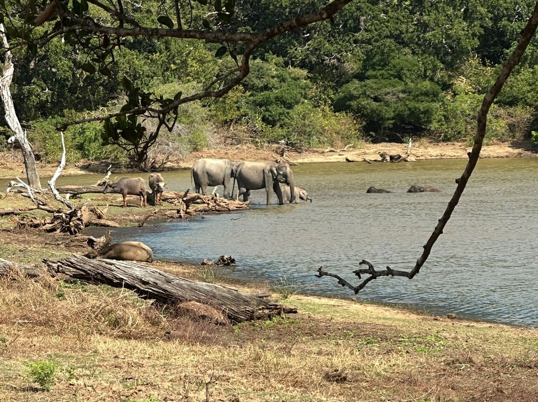 Michelle Tours-康提必去景点