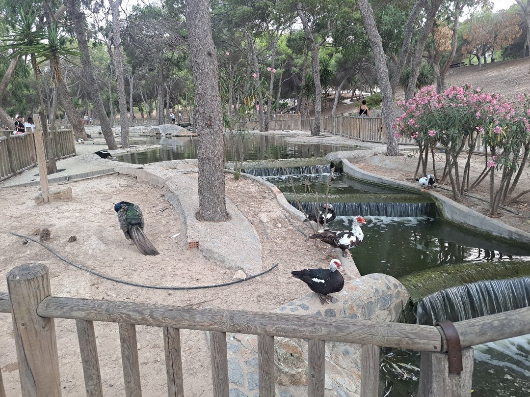 Reina Sofia Park-瓜尔达马尔德尔塞古拉必去景点