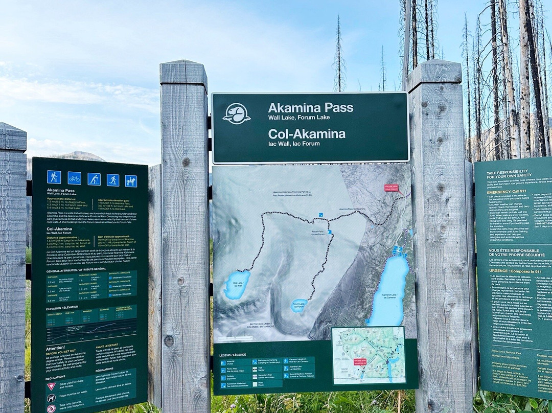 Wall Lake Hike-沃特顿湖国家公园必去景点