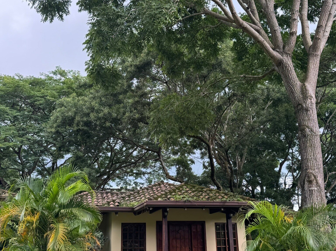 Alejandro Chaves Viquez Tour Guide-圣何塞必去景点