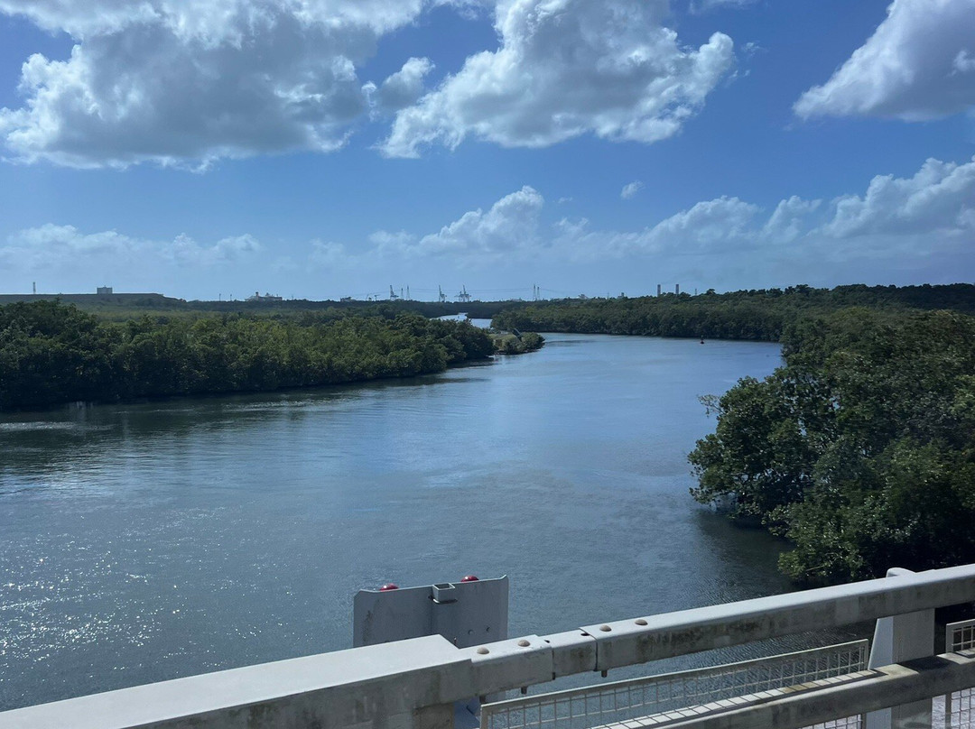 German Butterfly-Pointe-a-Pitre必去景点