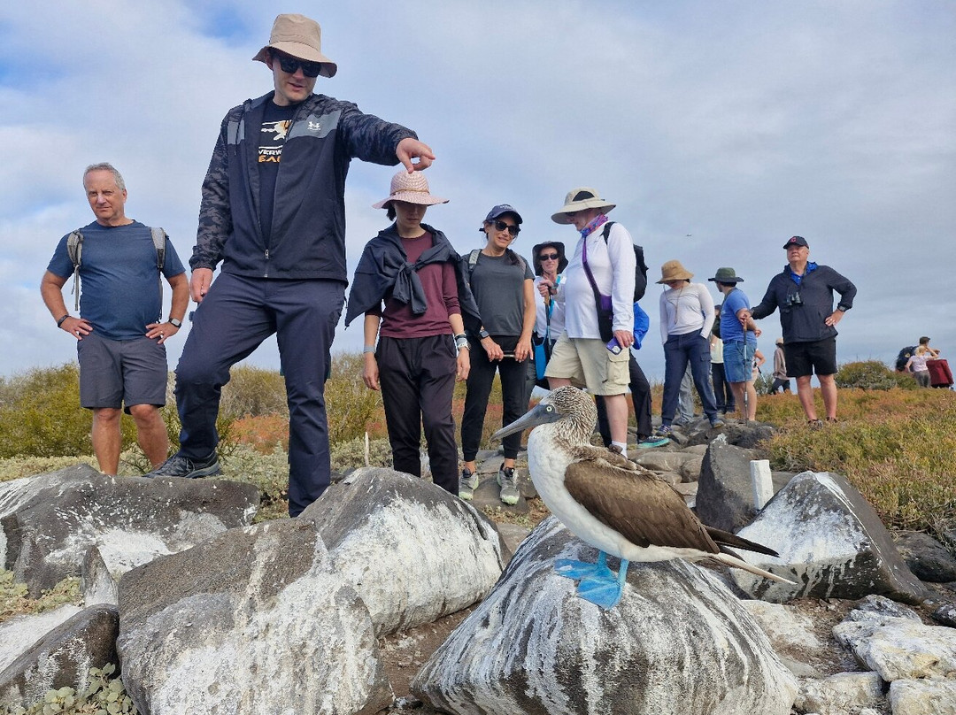 Punta Suarez-Espanola必去景点