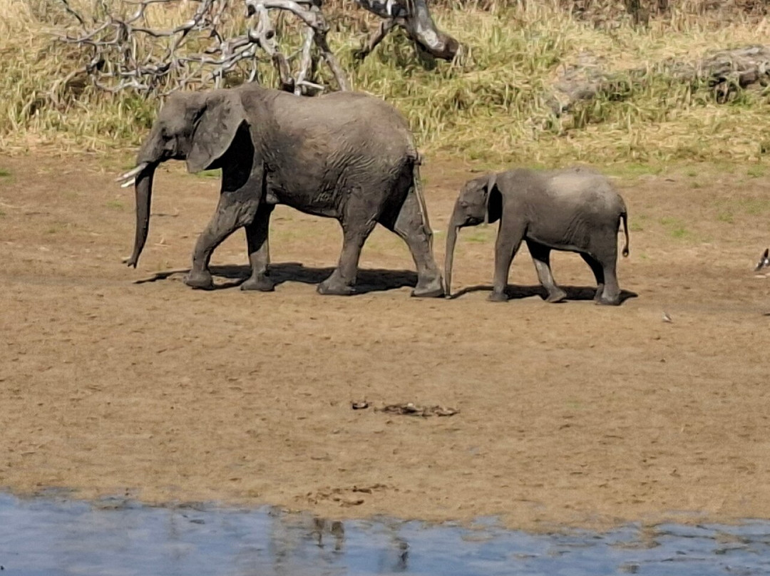 Golden Dream Safaris-阿鲁沙必去景点